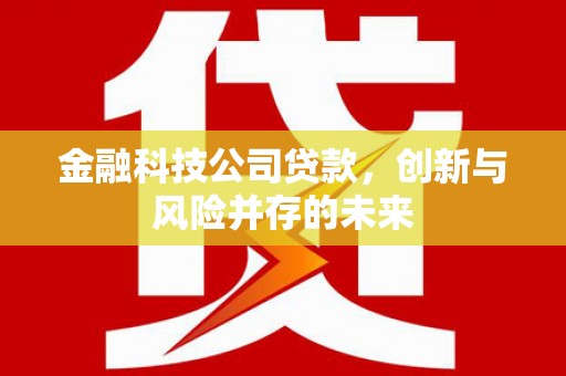 天等金融科技公司贷款，创新与风险并存的未来