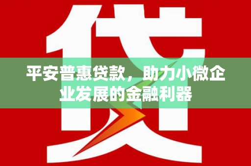 天等平安普惠贷款，助力小微企业发展的金融利器