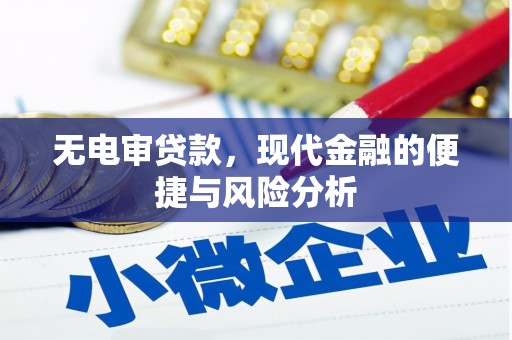 天等无电审贷款，现代金融的便捷与风险分析