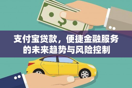 天等支付宝贷款，便捷金融服务的未来趋势与风险控制