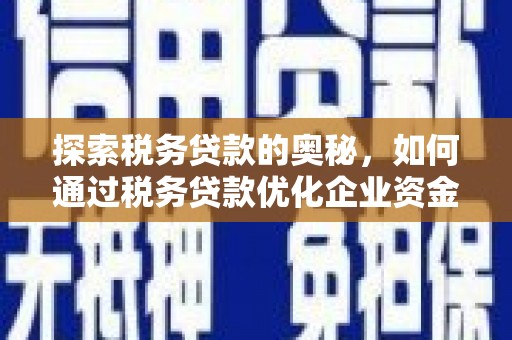 天等探索税务贷款的奥秘，如何通过税务贷款优化企业资金流