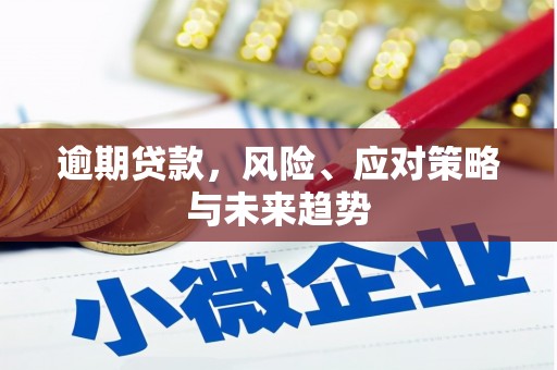 天等逾期贷款，风险、应对策略与未来趋势