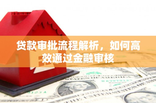 天等贷款审批流程解析，如何高效通过金融审核