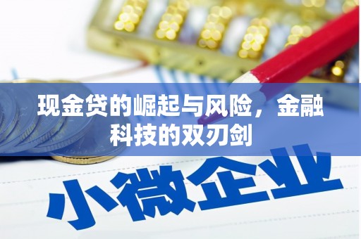 天等现金贷的崛起与风险，金融科技的双刃剑