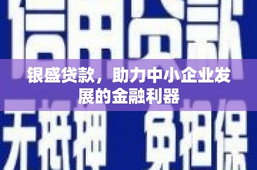 天等银盛贷款，助力中小企业发展的金融利器