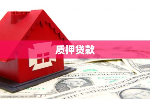 天等质押贷款