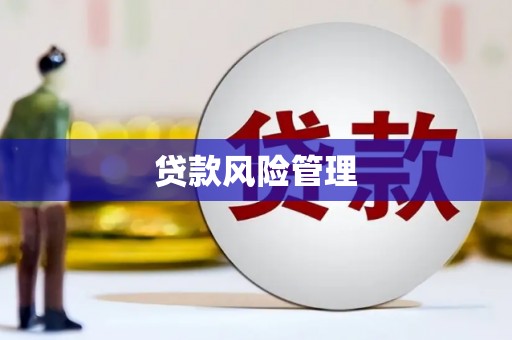 天等贷款风险管理