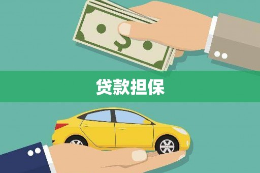 天等贷款担保