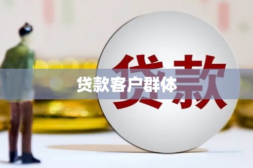 天等贷款客户群体