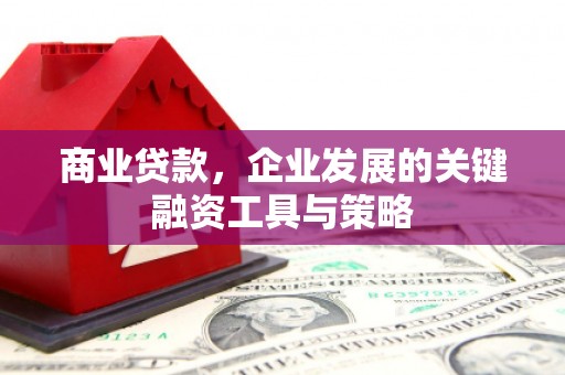 天等商业贷款，企业发展的关键融资工具与策略