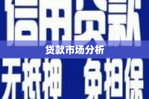 天等贷款市场分析
