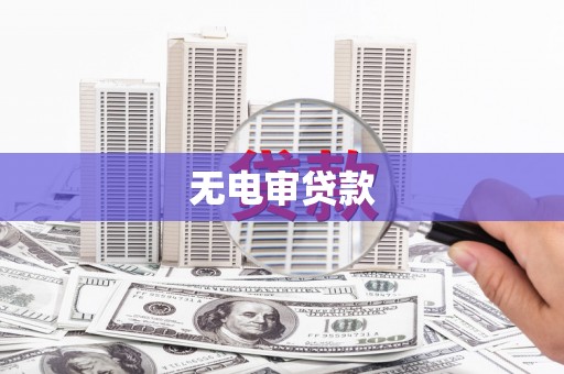 天等无电审贷款