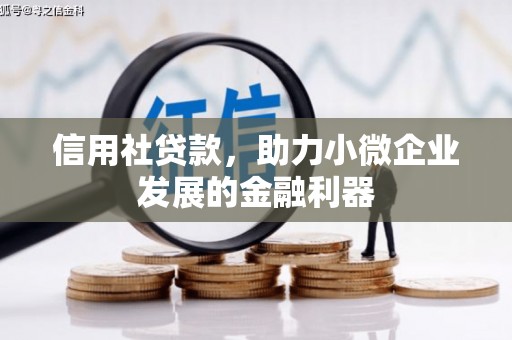 天等信用社贷款，助力小微企业发展的金融利器
