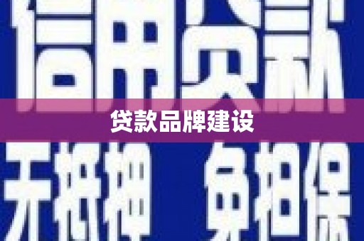 天等贷款品牌建设