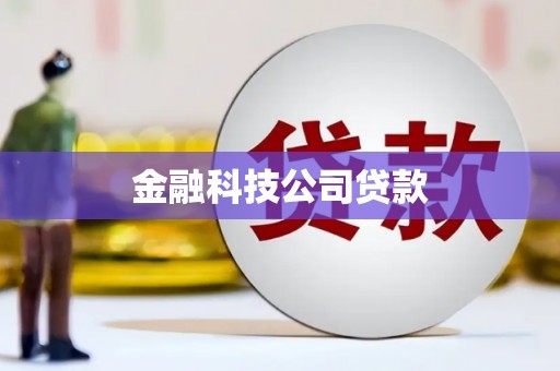 天等金融科技公司贷款