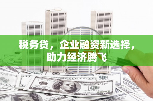 天等税务贷，企业融资新选择，助力经济腾飞