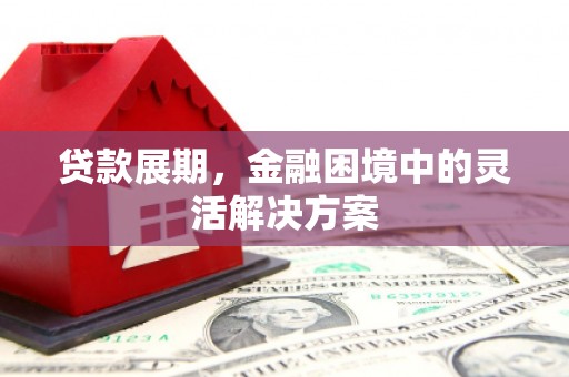 天等贷款展期，金融困境中的灵活解决方案