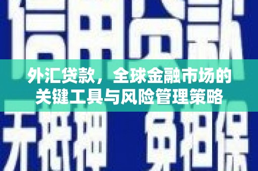 天等外汇贷款，全球金融市场的关键工具与风险管理策略