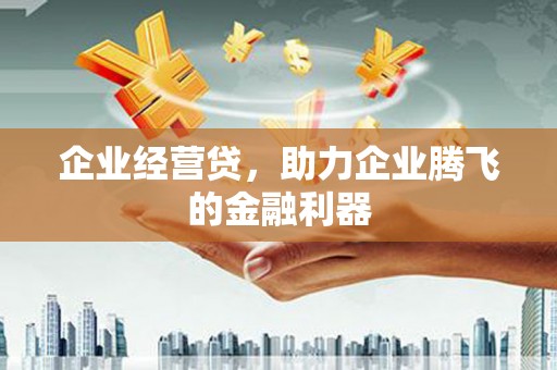天等企业经营贷，助力企业腾飞的金融利器