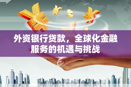 天等外资银行贷款，全球化金融服务的机遇与挑战