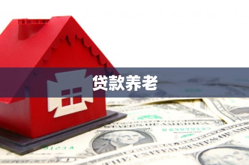 天等贷款养老