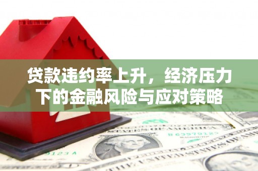 天等贷款违约率上升，经济压力下的金融风险与应对策略