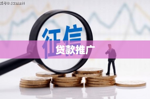天等贷款推广