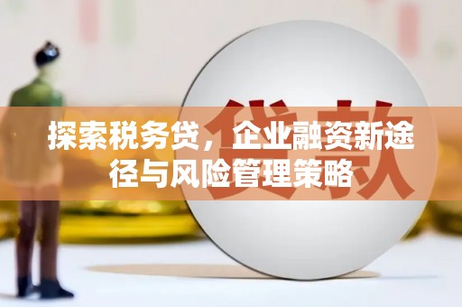 天等探索税务贷，企业融资新途径与风险管理策略