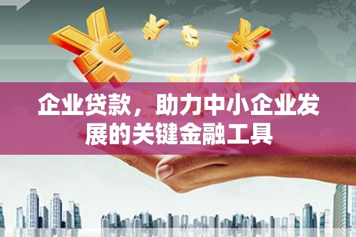 天等企业贷款，助力中小企业发展的关键金融工具