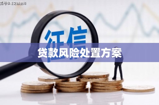 天等贷款风险处置方案