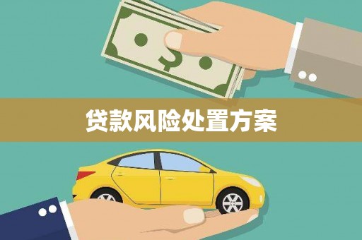 天等贷款风险处置方案