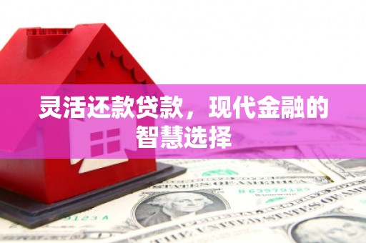 天等灵活还款贷款，现代金融的智慧选择
