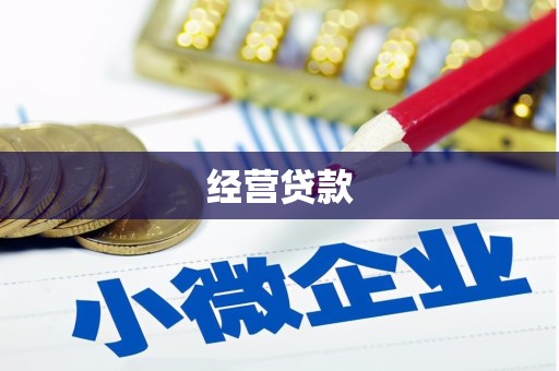 天等经营贷款