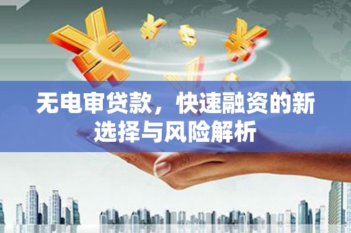 天等无电审贷款，快速融资的新选择与风险解析