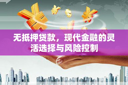 天等无抵押贷款，现代金融的灵活选择与风险控制