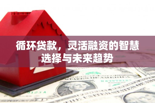 天等循环贷款，灵活融资的智慧选择与未来趋势