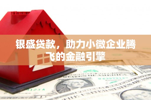 天等银盛贷款，助力小微企业腾飞的金融引擎