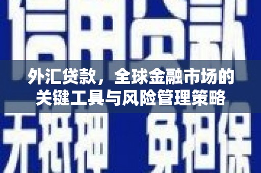 天等外汇贷款，全球金融市场的关键工具与风险管理策略