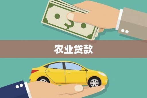 天等农业贷款