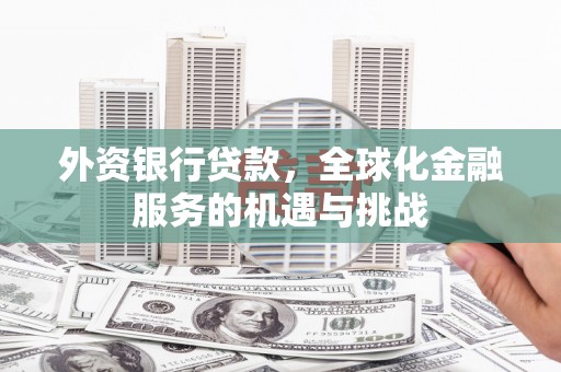 天等外资银行贷款，全球化金融服务的机遇与挑战