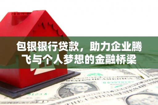 天等包银银行贷款，助力企业腾飞与个人梦想的金融桥梁
