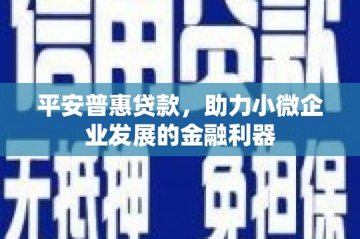 天等平安普惠贷款，助力小微企业发展的金融利器