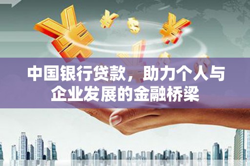 天等中国银行贷款，助力个人与企业发展的金融桥梁