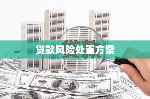 天等贷款风险处置方案