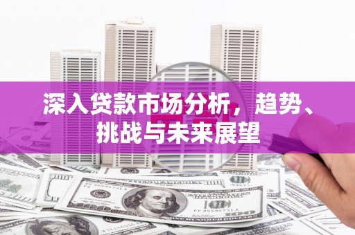 天等深入贷款市场分析，趋势、挑战与未来展望