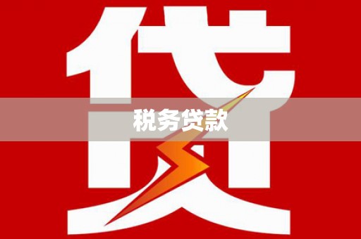 天等税务贷款