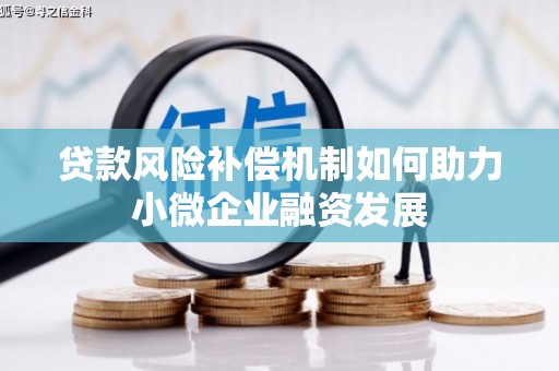 天等贷款风险补偿机制如何助力小微企业融资发展