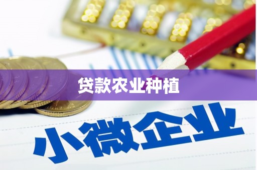 天等贷款农业种植