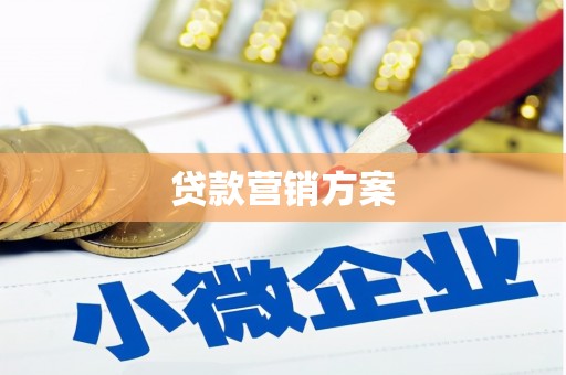 天等贷款营销方案