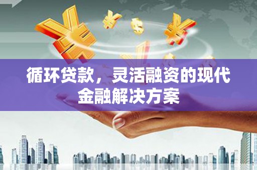天等循环贷款，灵活融资的现代金融解决方案